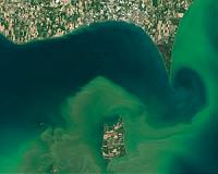 Putting NASA Earth Data to Work