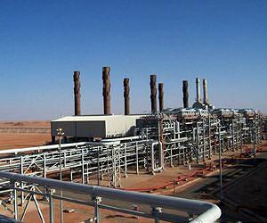 Algeria gas plant report reveals energy security gaps