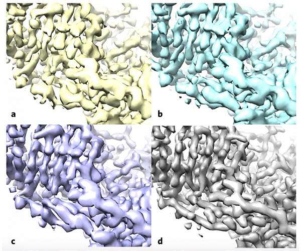 New algorithm sharpens focus of world's most powerful microscopes