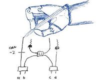 Quantum experiments designed by machines
