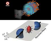 The state of the early universe: The beginning was fluid