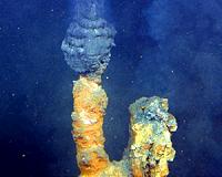 New species found near ocean floor hot springs
