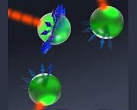 New light shed on electron spin flips