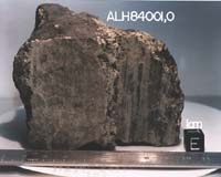 Building Blocks Of Life Formed On Mars
