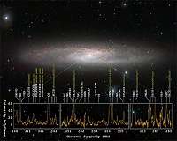 Forest of molecular signals in star forming galaxy