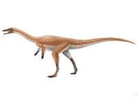 How did alvarezsaurian dinosaurs evolve monodactyl hand?