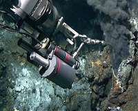 Microbes in the seabed survive on little energy