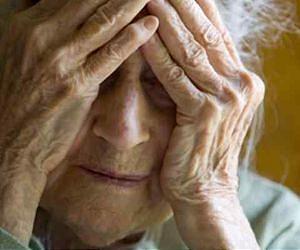 Investments in Aging Biology Research will Pay Longevity Dividend