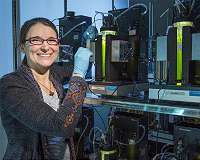 Feeding plants to this algae could fuel your car