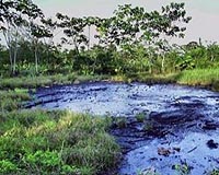 US appeals court orders Ecuador to pay $96 mn to Chevron