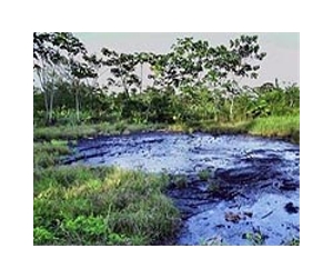 Ecuadorans hail appeal ruling in Chevron case