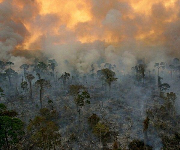 Who is setting fire to the Amazon?