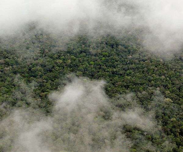 Fears mount for UK journalist, Indigenous expert missing in Amazon