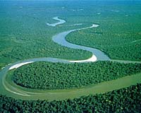 Fragmentation Rapidly Erodes Amazonian Biodiversity