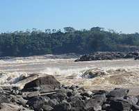 Archeological plant remains point to southwest Amazonia as crop domestication center