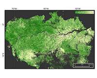 Amazon rainforest absorbing less carbon than expected