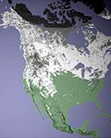 Declining Snowpack Cools Off Co2 Emissions From Winter Soils