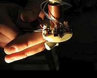 New quantum criticality discovered in superconductivity
