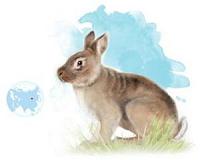 Rabbit ancestor reveals ancient link between Asia and Europe