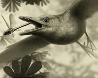 Tiny ancient fossil from Spain shows birds flew over the heads of dinosaurs