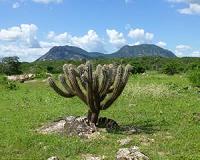 Scientists find ancient mountains that fed early life