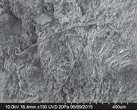 Ancient string discovery sheds light on Neanderthal life