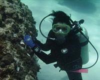 Corals respond to climate change - fatter and more flexible