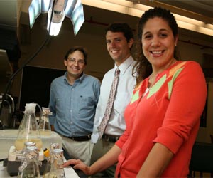 High Energy Output From Algae-Based Fuel No Silver Bullet