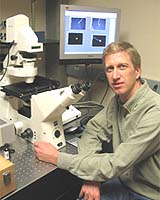 Rhythm Gene Discovered