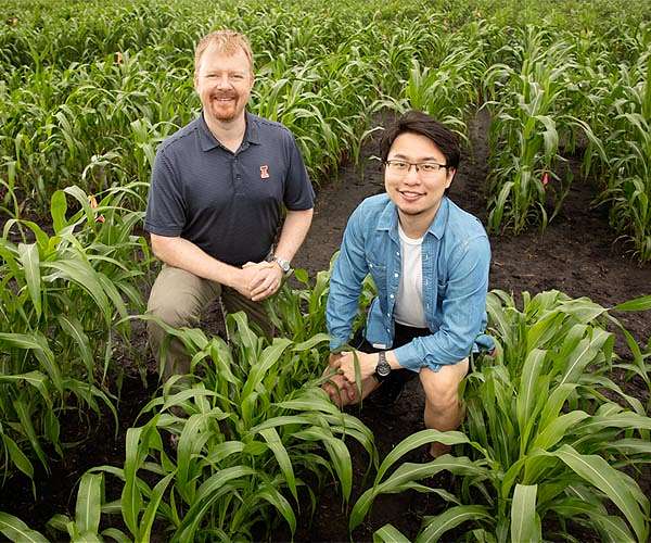 New imaging, machine-learning methods speed effort to reduce crops' need for water