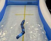 An eel-lectrifying future for autonomous underwater robots