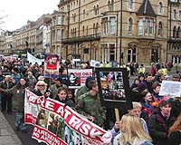 Animal Activists Persist In US