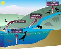 Lost giant poop disrupts whole planet