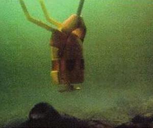 BAE Systems Wins US Navy Minehunting Sonar Contract