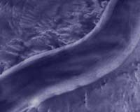 Evidence That Antarctic Ice Stream Has Reversed Flow