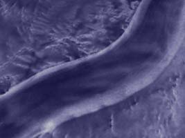 Antarctica's Spectacular Rivers Of Ice