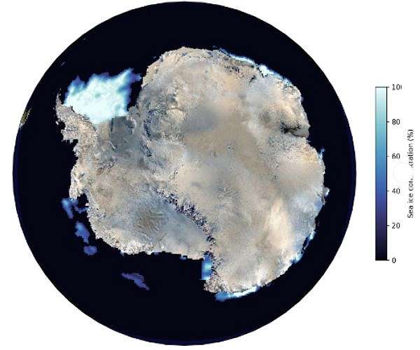 Melting ice falling snow: Sea ice declines enhance snowfall over West Antarctica