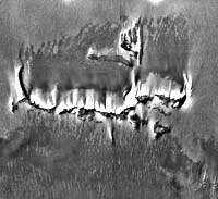Join An Antarctic Adventure In Search Of Mars Rocks