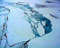 New Melting Moment