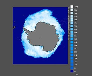 Research: Strong winds may contribute to more sea ice in Antarctica