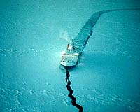 WTO can withstand Doha Round freeze