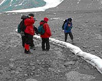 Freeze-Dried Mats Of Microbes Awaken In Antarctic Streambed: Study