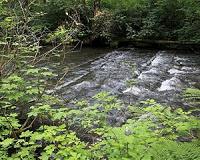 High-tech river studies reveal benefits of habitat restoration for fish
