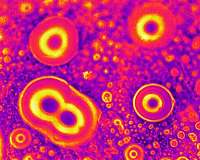 Materials could delay frost up to 300 times longer than existing anti-icing coatings