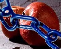 Found - The Apple Gene For Red