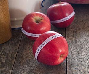 Organic Labels Bias Consumers Perceptions through the Health halo effect