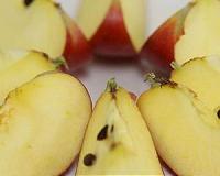 No more brown apples