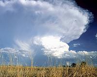 Building a Better Weather Forecast? SMAP May Help