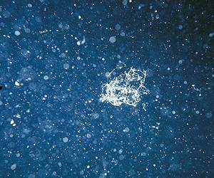 Oceanic Carbon Fluxes: The Behavior Of Small Particles At Density Interfaces