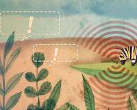 Plants call 911 to help their neighbors